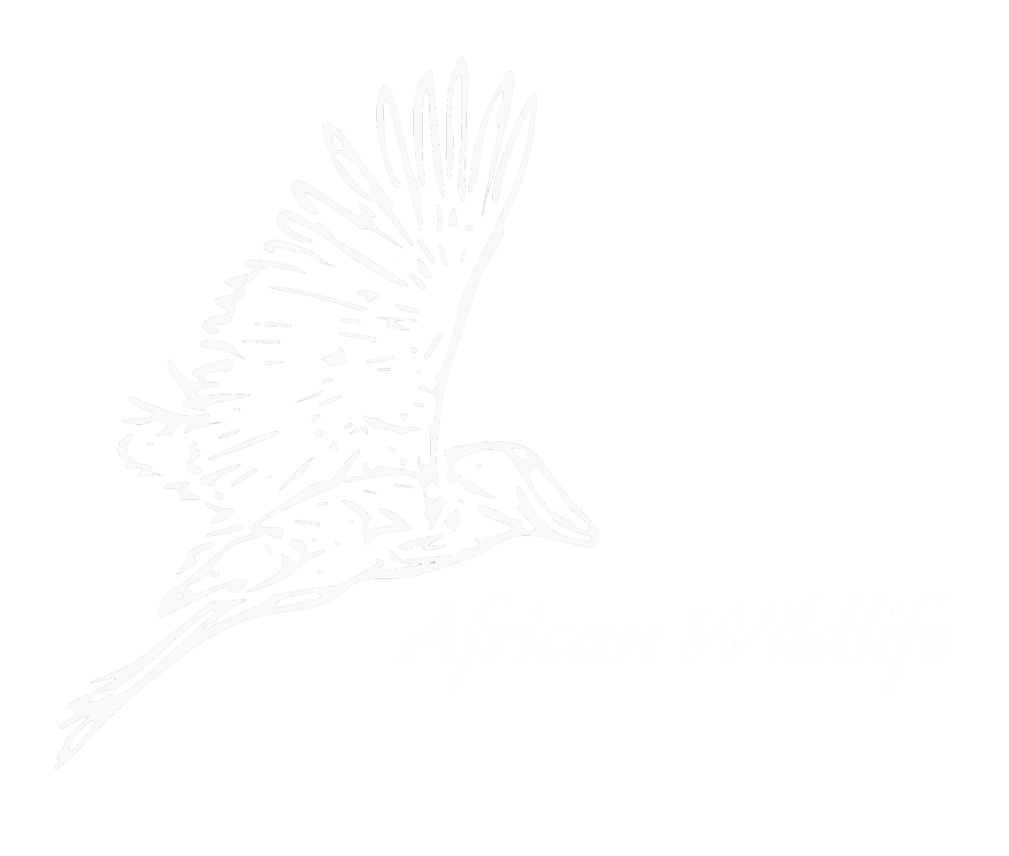 www.African-Wildlife.com